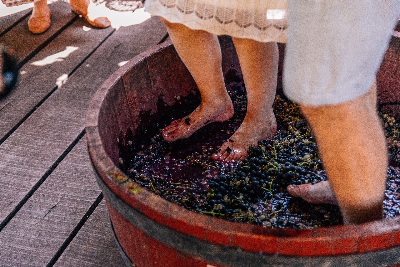 WhatsApp Image 2023-09-22 at 14.11.48