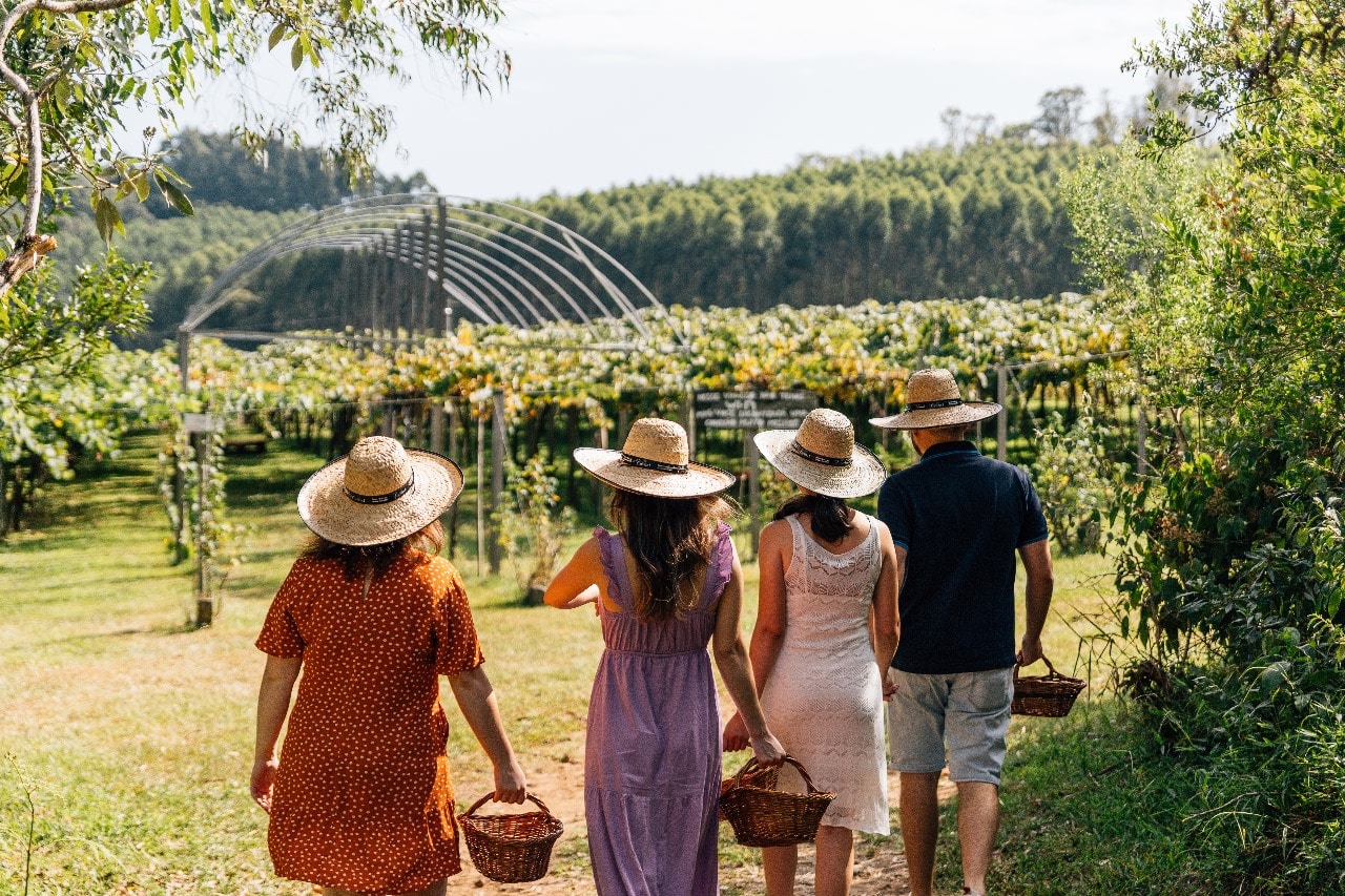 WhatsApp Image 2023-09-22 at 14.13.58