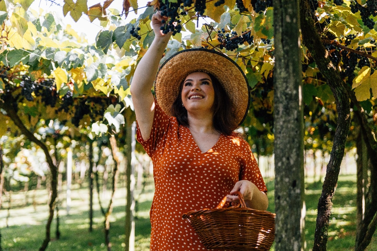 WhatsApp Image 2023-09-22 at 14.16.22